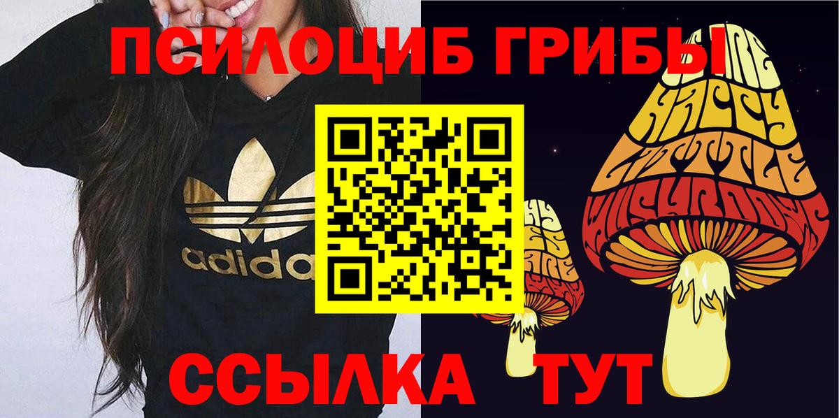 Галлюциногенные грибы Magic Shrooms Полысаево